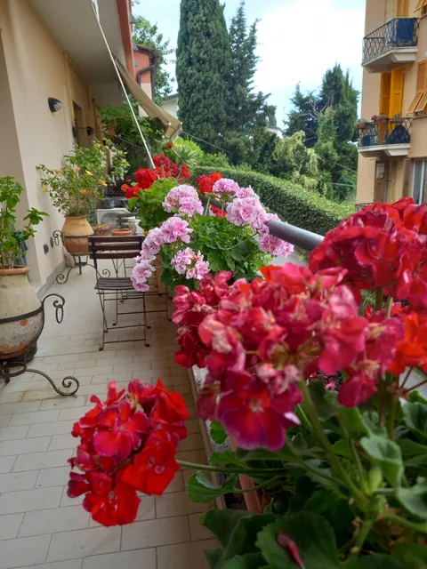 Il Balcone di Anna - Nervi