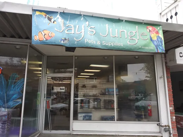 Jay's Jungle