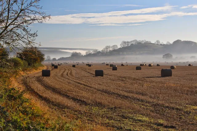 Cranborne Chase National Landscape