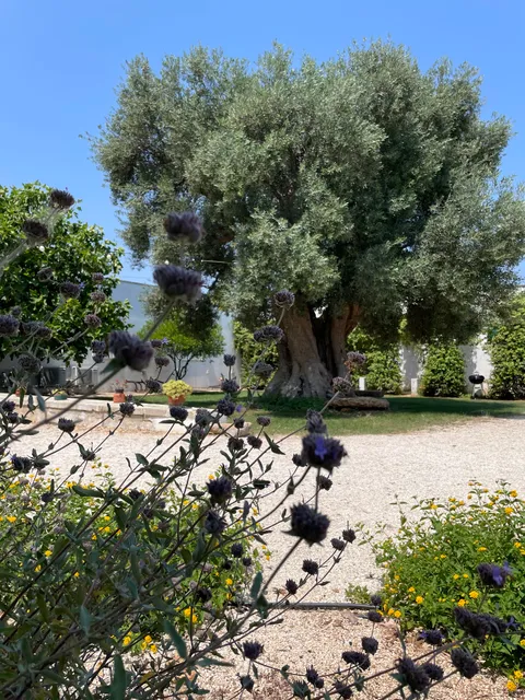 Masseria Giangrande