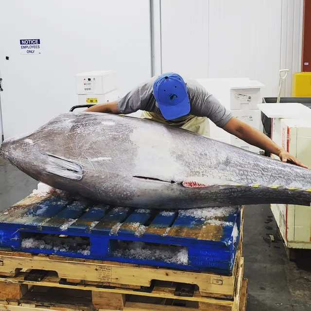 Harbor Marine Product, Inc.