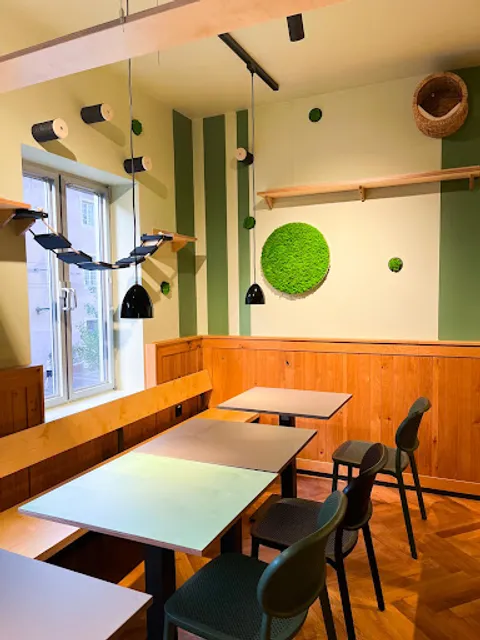 Katzentempel Freiburg