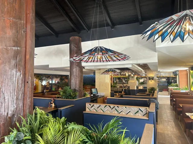 Desert Creek Spur Namibia