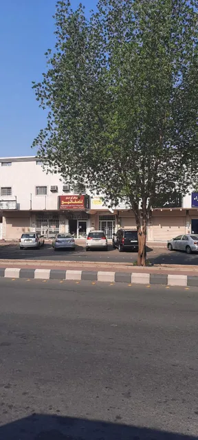 شقق للإيجار