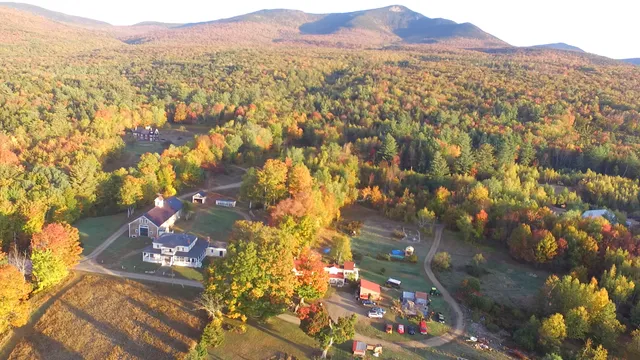 Sacred Nectar Sanctuary