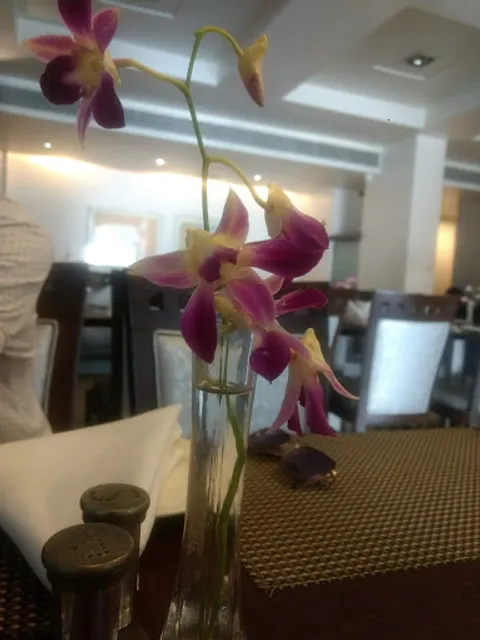 House of Blossoms - by Suncity