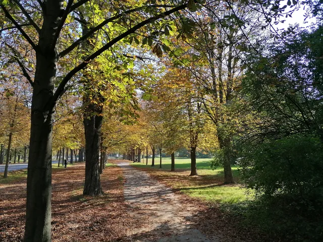 Spielplatz mit Kletterspinne