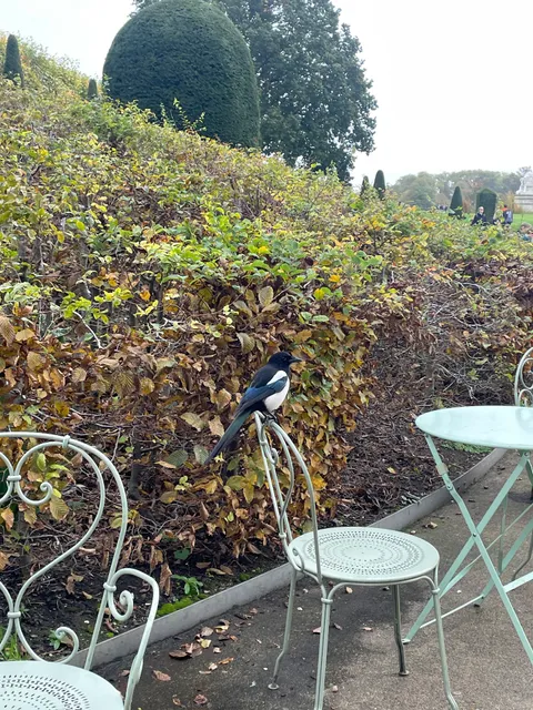 Kensington Palace Cafe