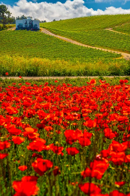 Bodega y Viñedos Heredad Morán & López
