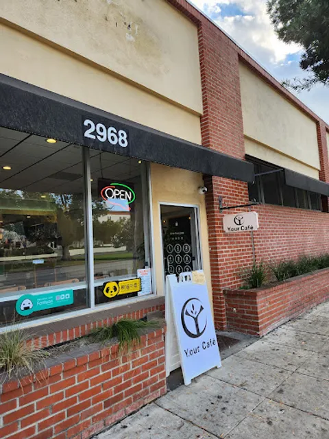 Y.our Cafe
