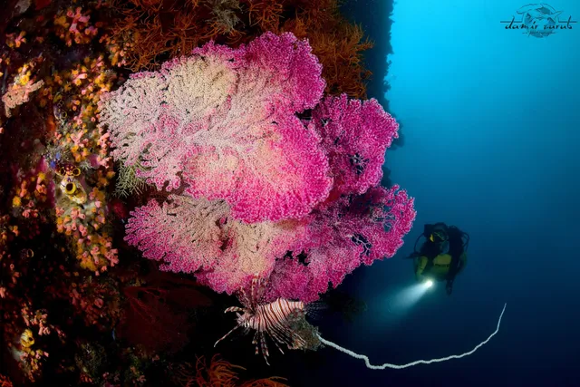 Daroyen Village Raja Ampat