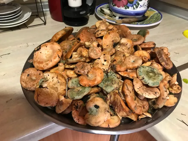 Café-Bar Los Giles.