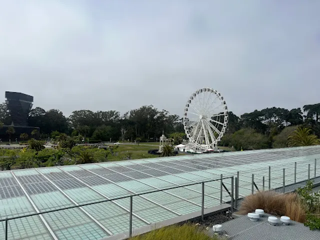 Living Roof Observation Deck