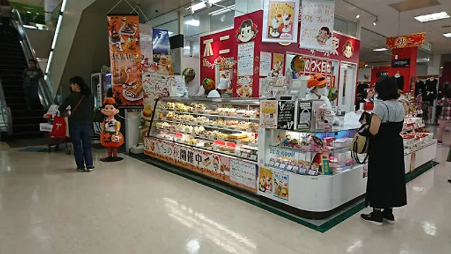 FUJIYA Sawara City Store