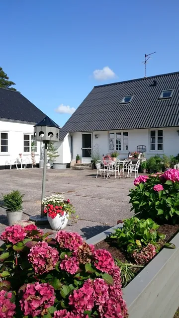 Gæstehus Klintegaarden