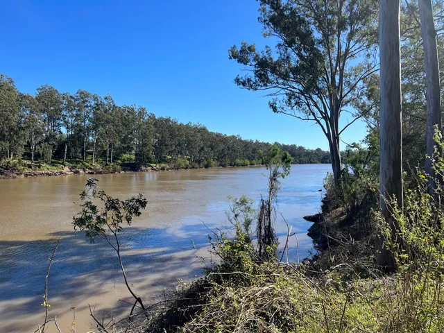 Mount Ommaney Bushland Reserve