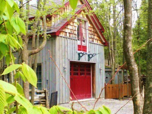 Windswept On The Trent