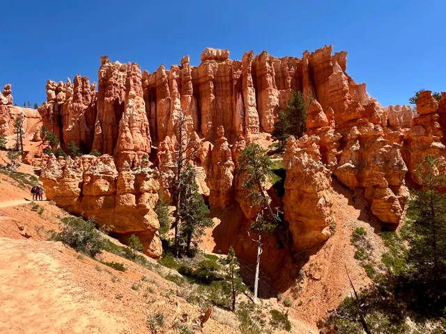 Queens Garden Benchmark
