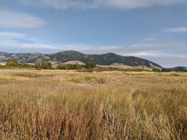 Cherry River Fishing Access