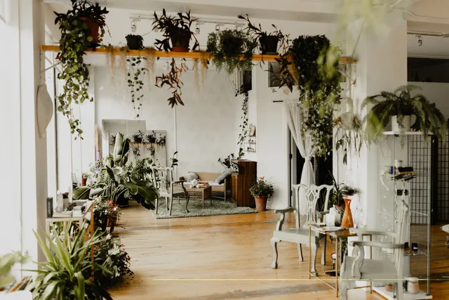 Body of the Earth Wellness & Massage