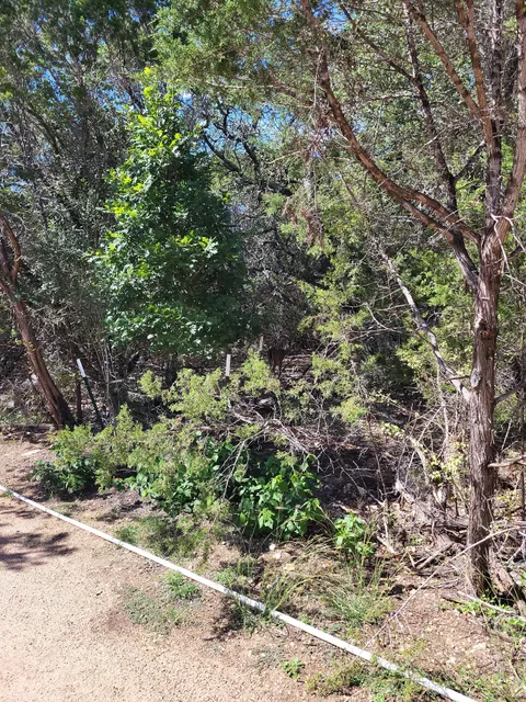 Violet Crown Trail - 290 Trailhead