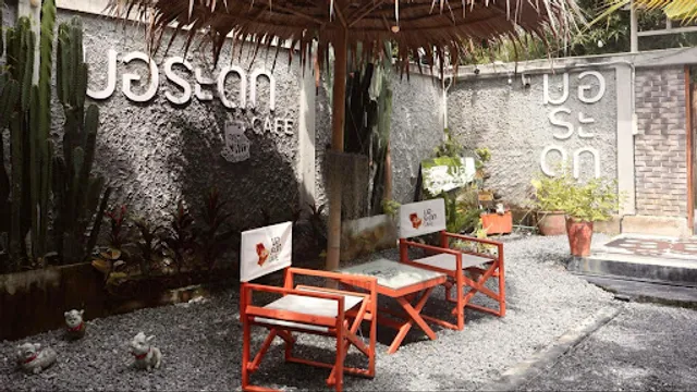 มอระดก CAFE