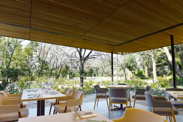 TEIEN Restaurant comodo