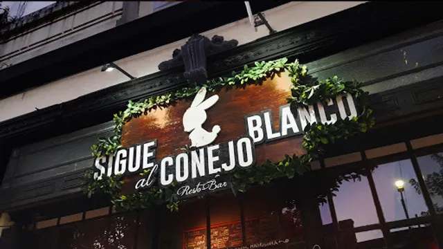 Sigue al Conejo Blanco "La Madriguera" - Bar temático
