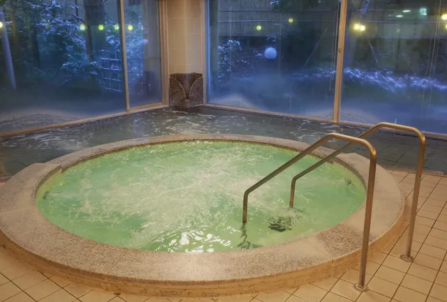 Hana Yu Museum Niigata Kosudo hot spring health center