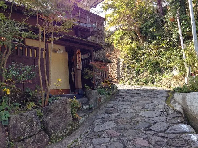 Traditional Japanese inn BAN-YA