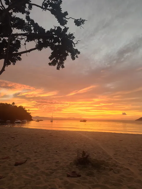 Encantos Da Cigarras