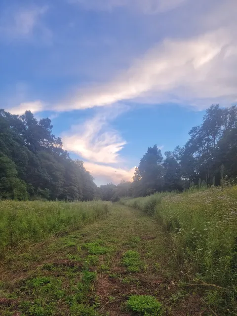 Whittingham Wildlife Management Area