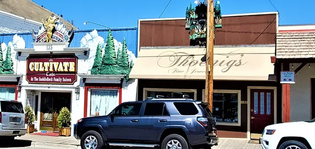 ODEN Watches & Jewelry