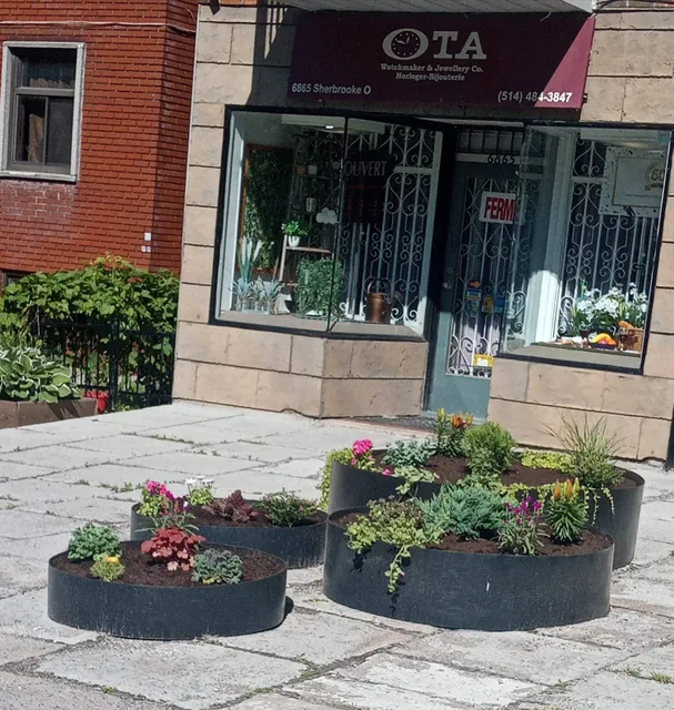 OTA Watchmaker & Jewellry Inc