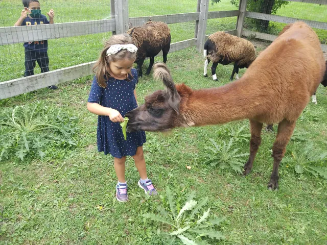 Honey Bee Gardens Farm