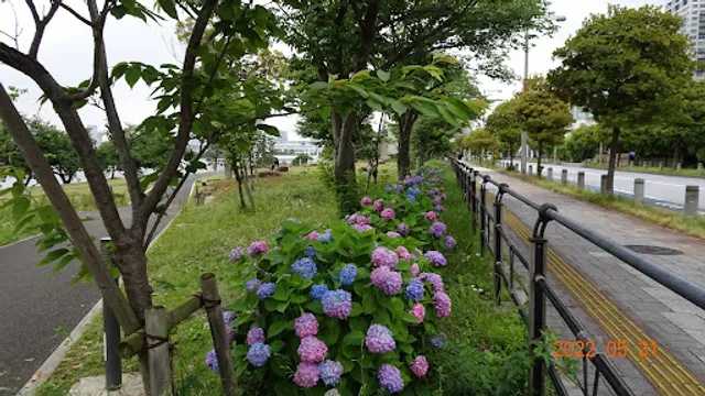 Machi-to-Umi Promenade