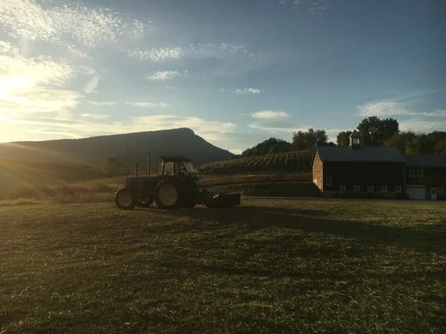 Jump Mountain Vineyard