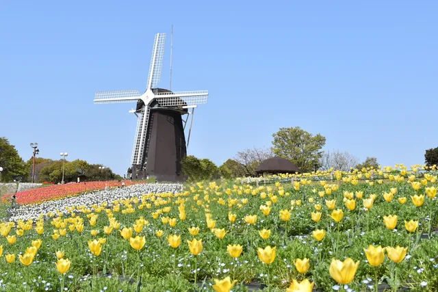 Tsurumi Ryokuchi Park