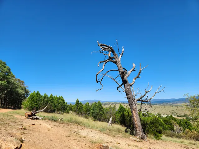 Lower Molonglo Nature Reserve