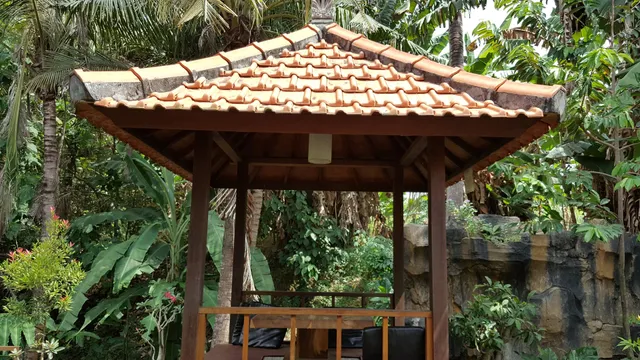 photo-3