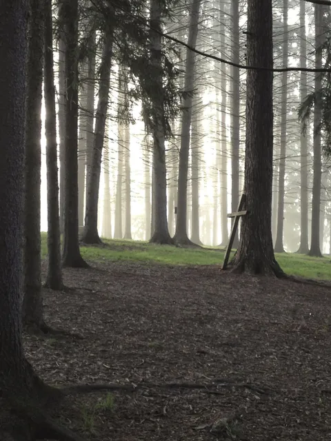 Ligonier Camp & Conference Center