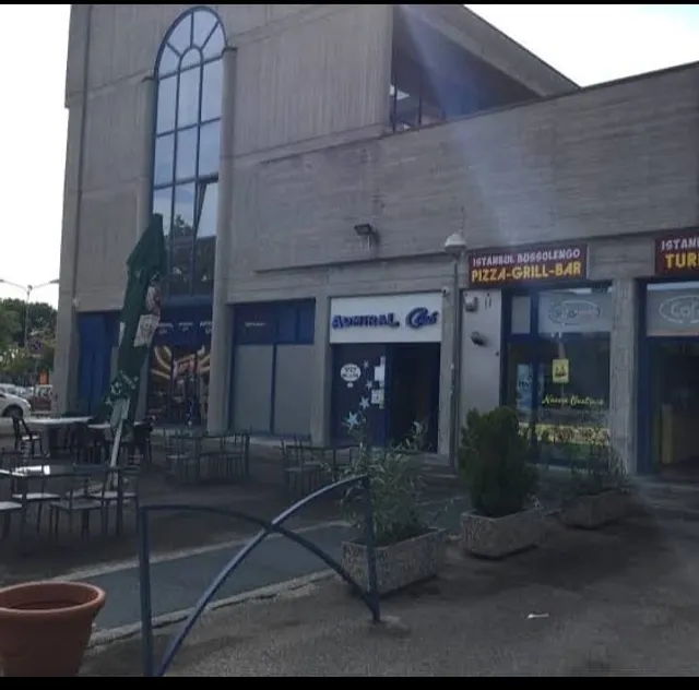 Istanbul Turkish Kebap