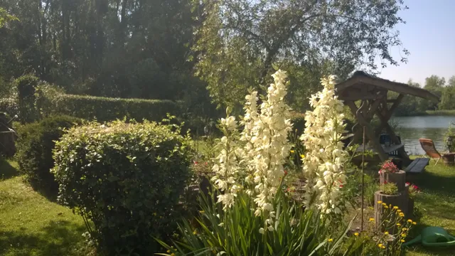 Apartments Marion Müller