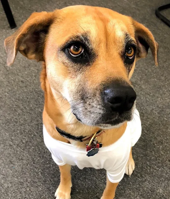 Spinnaker Custom Products