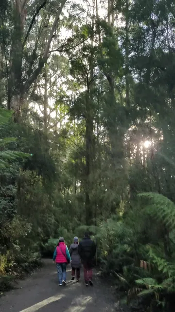 Tree Top Adventures Park Office: Registration & Check-in