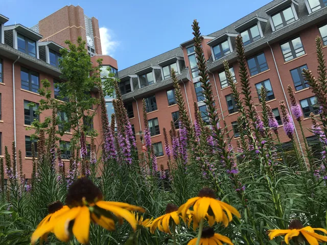 The Honors College of Rutgers - New Brunswick