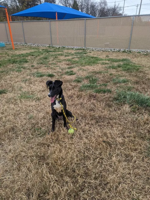 Harshaw Family Foundation Animal Shelter