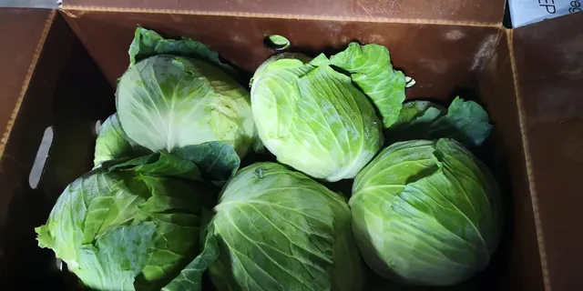 ZhongXing Produce Inc.