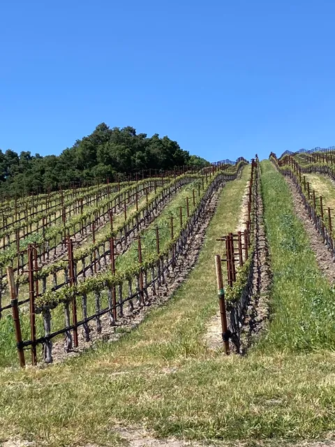 Paso Robles Wine Tours