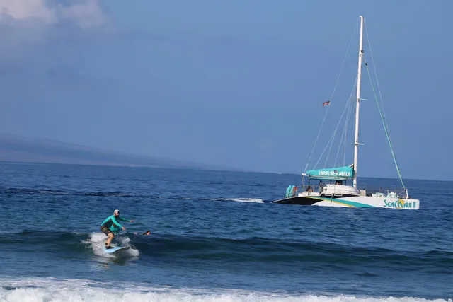 Sea Maui Surf